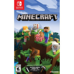 Minecraft Nintendo Switch