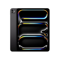iPad Pro 13-inch WiFi 256GB with Standard glass - Space Black
