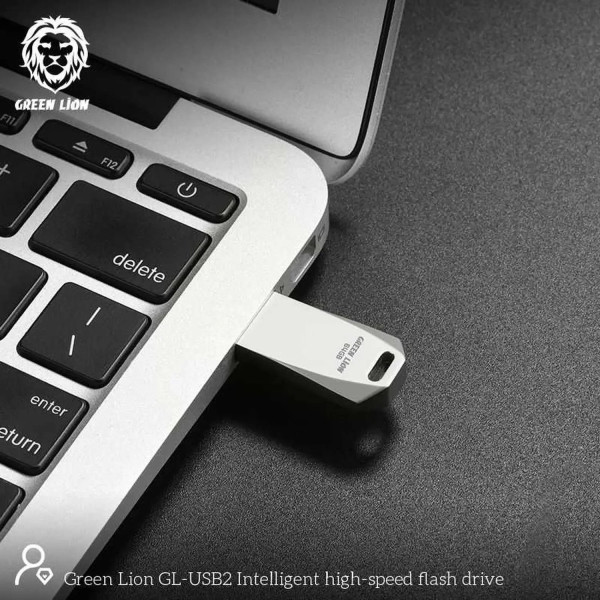 Green Lion High Speed Flash Drive - 64 GB - Silver