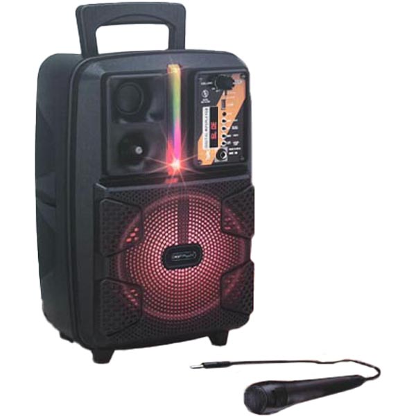 Digitplus Wireless Portable Karaoke Speaker With Microphone D90