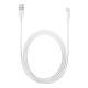 Apple Lightning To Usb Cable (0.5M) - ME291ZM