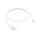 Apple Lightning To Usb Cable (0.5M) - ME291ZM