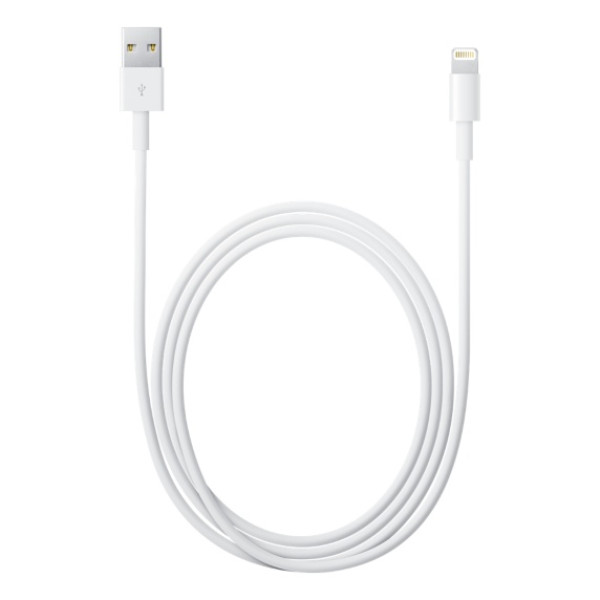 Buy Online Apple Lightning To Usb Cable (2 M) in Qatar